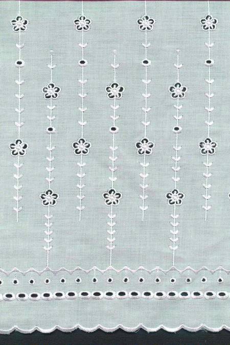 cotone  Atelier Foto 1