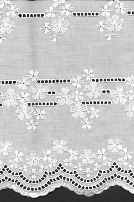 cotone bianco Foto 1