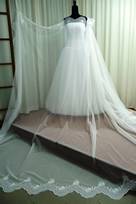 tulle ricamato 300 Foto 3