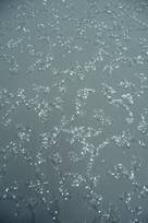 tulle glitter bianco seta Foto 3