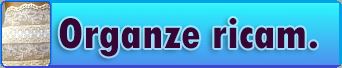 organze ricamate abiti sposa